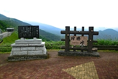 돟